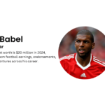 ryan babel net worth